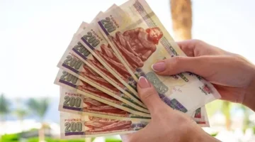 تراجع الفائدة.. شهادة ادخار جديدة بأعلى عائد من البنك الأهلي